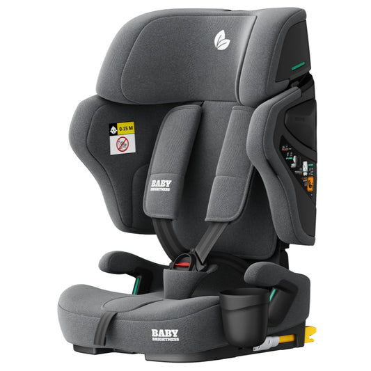 Baby Brightness Fortress Pro Portable Travel Booster Car Seat Grey