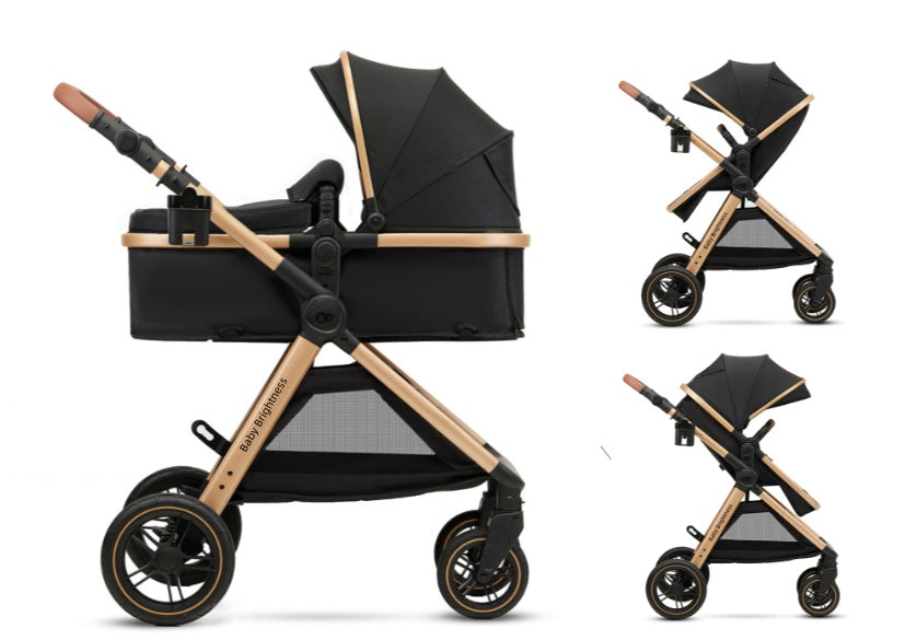 Pre-order Skyra 2-in-1 Newborn Pram & Bassinet Stroller and Car Seat (Pink) - image 26